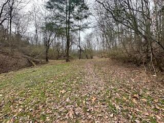 Church Drive Lenoir City TN 37771 Church Drive Lenoir City TN 37771<br />